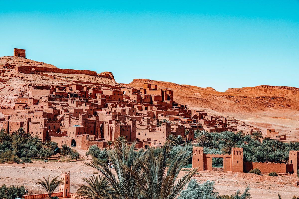 _MG_2342