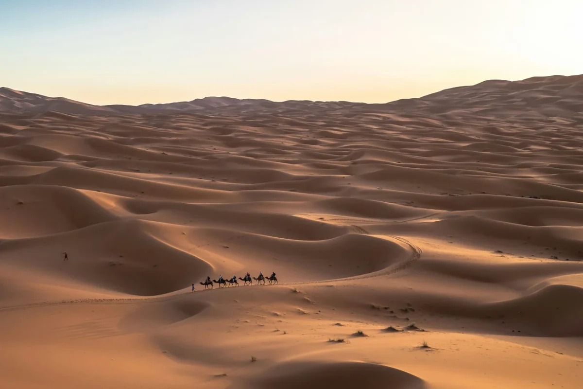 Desierto