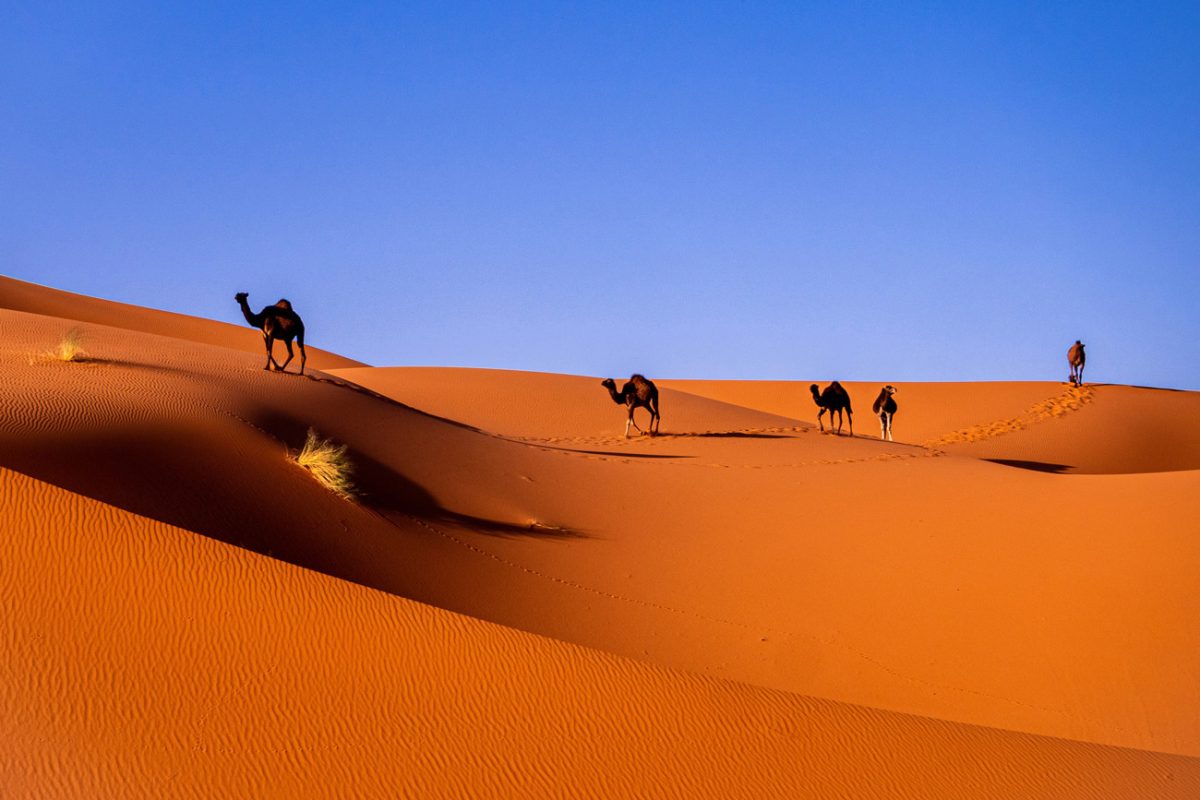Ruta norte Marruecos